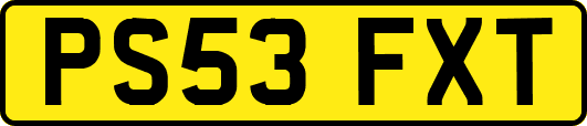 PS53FXT