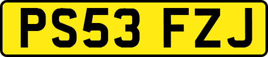 PS53FZJ
