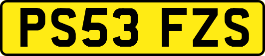 PS53FZS