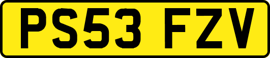 PS53FZV