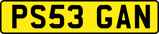 PS53GAN