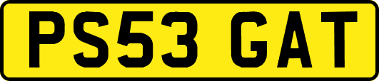 PS53GAT