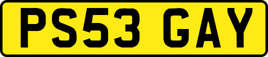 PS53GAY