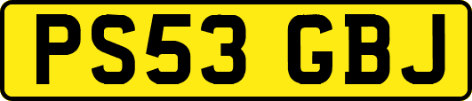 PS53GBJ