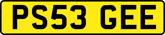 PS53GEE
