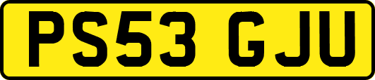 PS53GJU