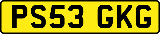 PS53GKG