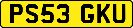 PS53GKU