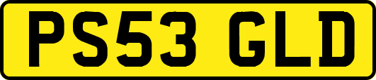 PS53GLD