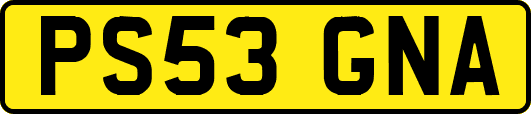 PS53GNA