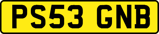 PS53GNB