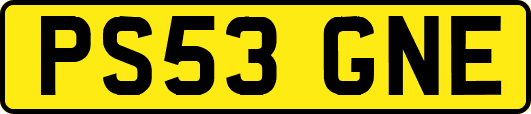 PS53GNE