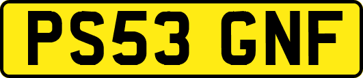 PS53GNF