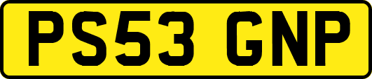 PS53GNP