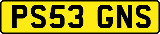 PS53GNS