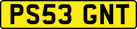 PS53GNT