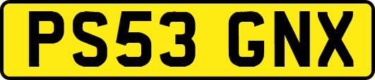 PS53GNX