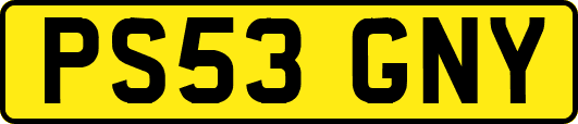 PS53GNY