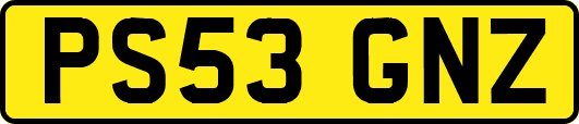 PS53GNZ