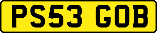 PS53GOB
