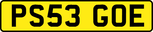 PS53GOE