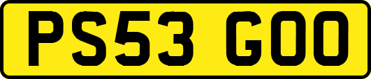 PS53GOO
