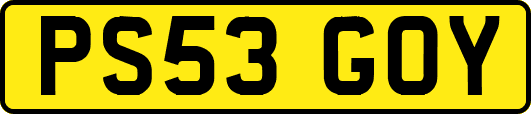 PS53GOY