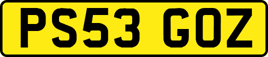 PS53GOZ