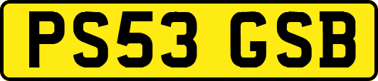 PS53GSB