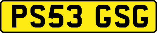 PS53GSG
