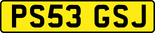 PS53GSJ