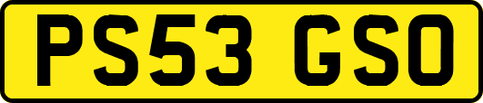 PS53GSO