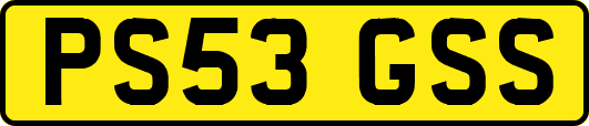 PS53GSS