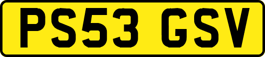 PS53GSV