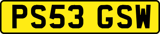 PS53GSW