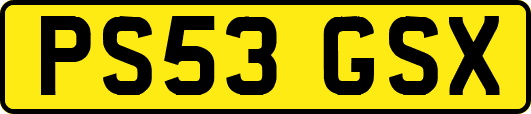 PS53GSX