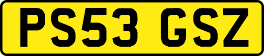 PS53GSZ