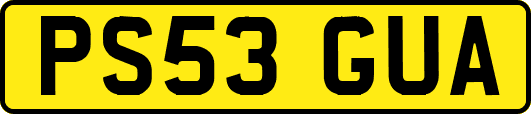 PS53GUA