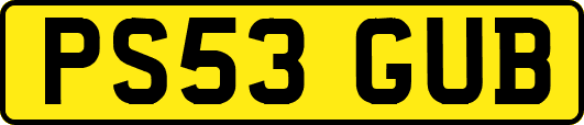 PS53GUB
