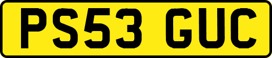 PS53GUC
