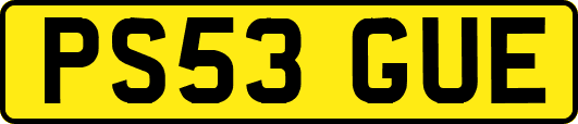 PS53GUE