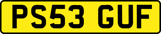 PS53GUF