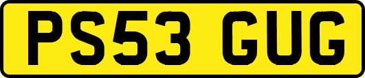 PS53GUG