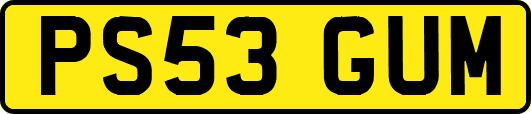 PS53GUM