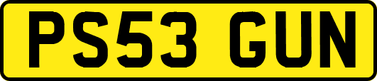 PS53GUN