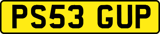 PS53GUP