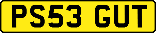 PS53GUT