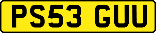 PS53GUU