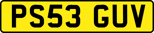 PS53GUV
