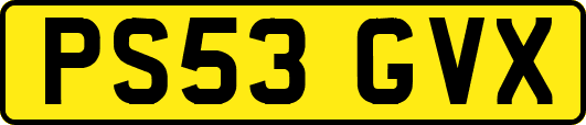 PS53GVX